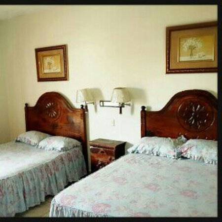 hotel Hotel Plaza Palmero