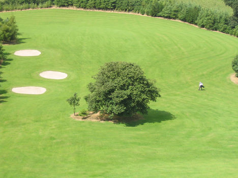 Ballymote Golf Club cover picture