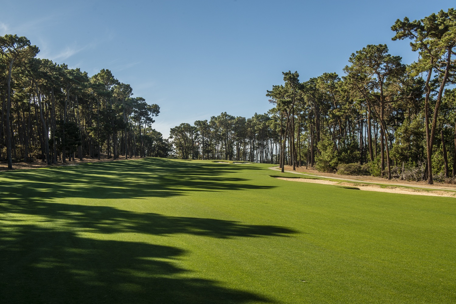 Golf post media