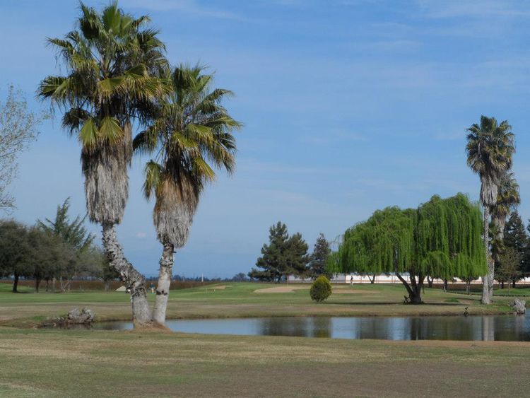 Madera Golf Course All Square Golf
