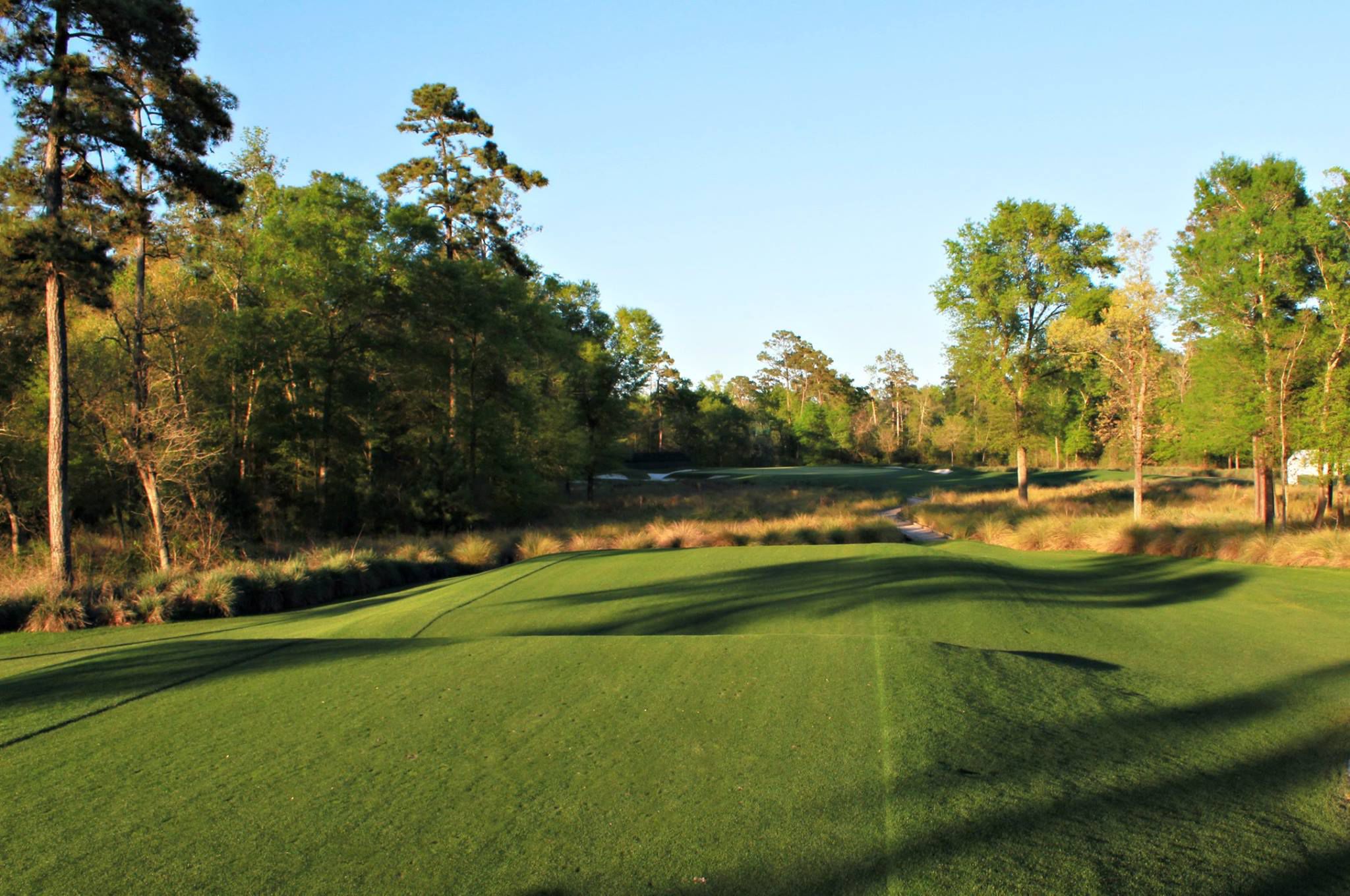 Golf Club of Houston cover picture