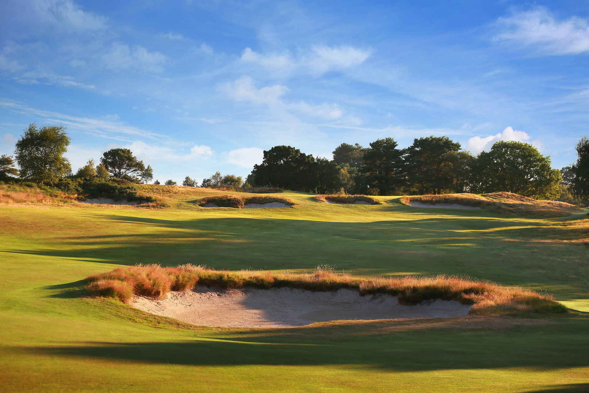 Broadstone (Dorset) Golf Club cover picture