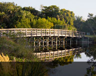 Sanibel Island Golf Club cover picture