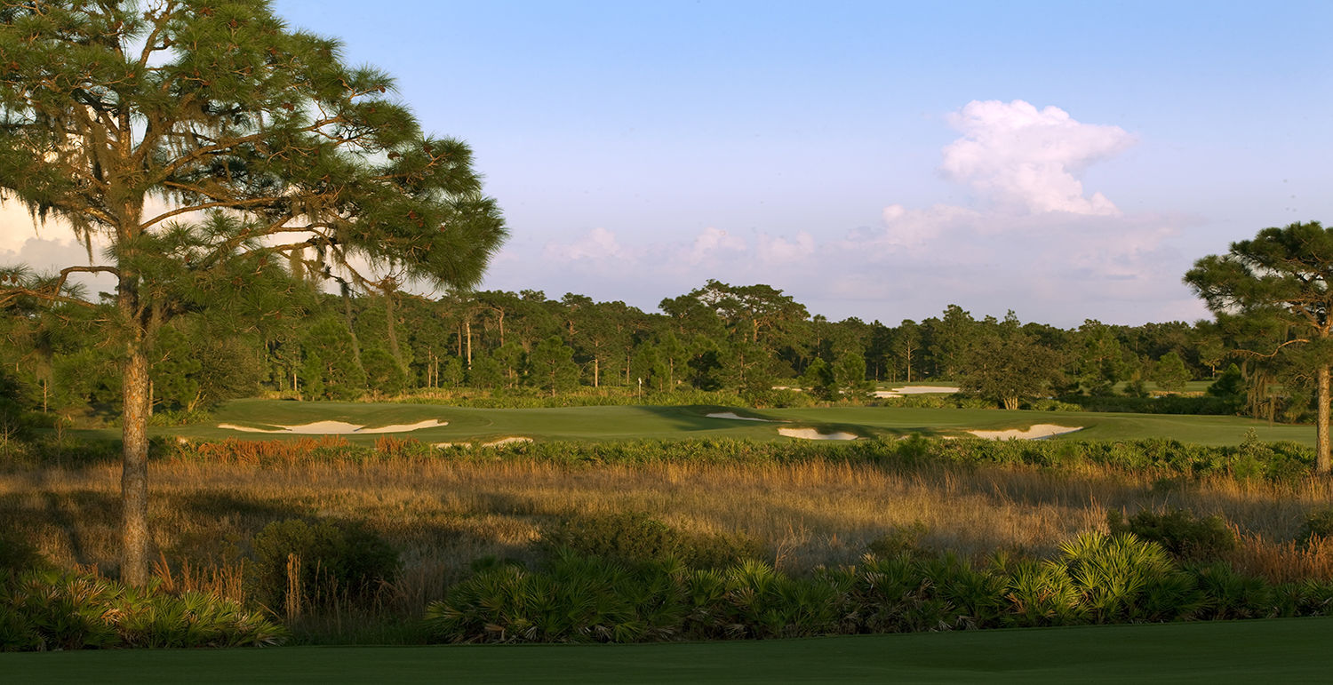 The Concession Golf Club All Square Golf