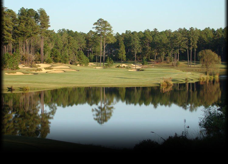 Forest Creek Golf Club All Square Golf