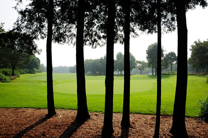 Ishioka Golf Club cover picture