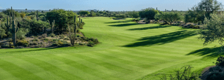 Desert Forest Golf Club cover picture