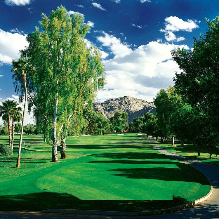 Orange Tree Golf and Conference Resort Golf Course All Square Golf