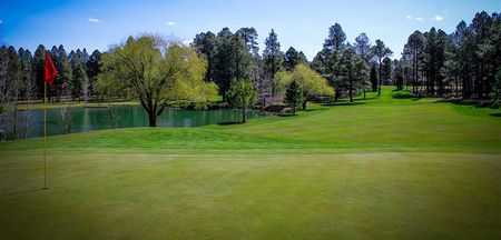 Pinetop Lakes Golf and Country Club cover picture