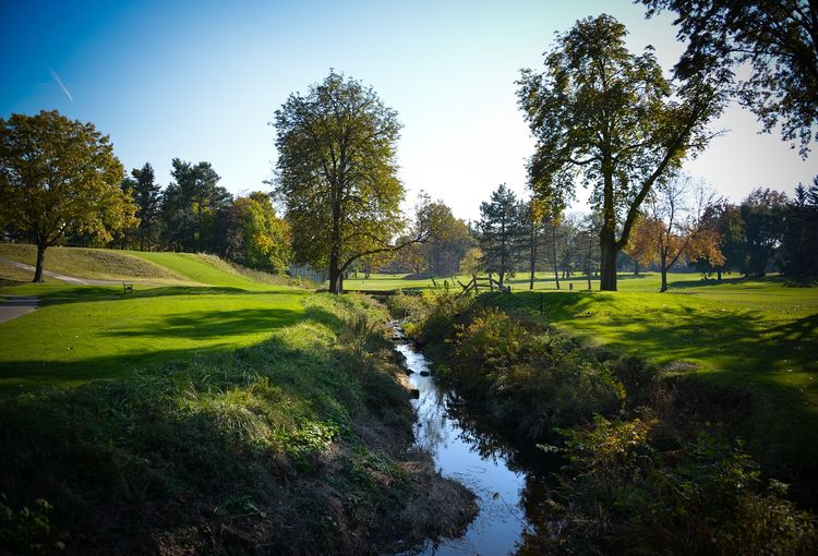 Shaker Heights Country Club, The All Square Golf