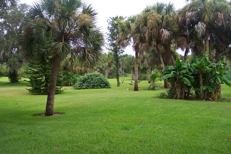 Gulf Gate Golf Club All Square Golf