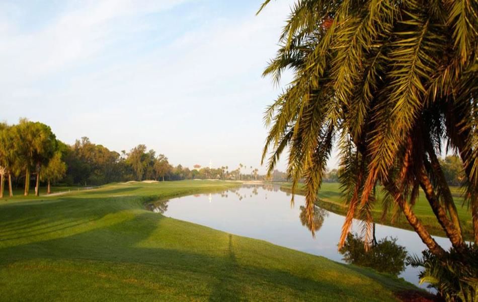 Renaissance Vinoy Resort cover picture
