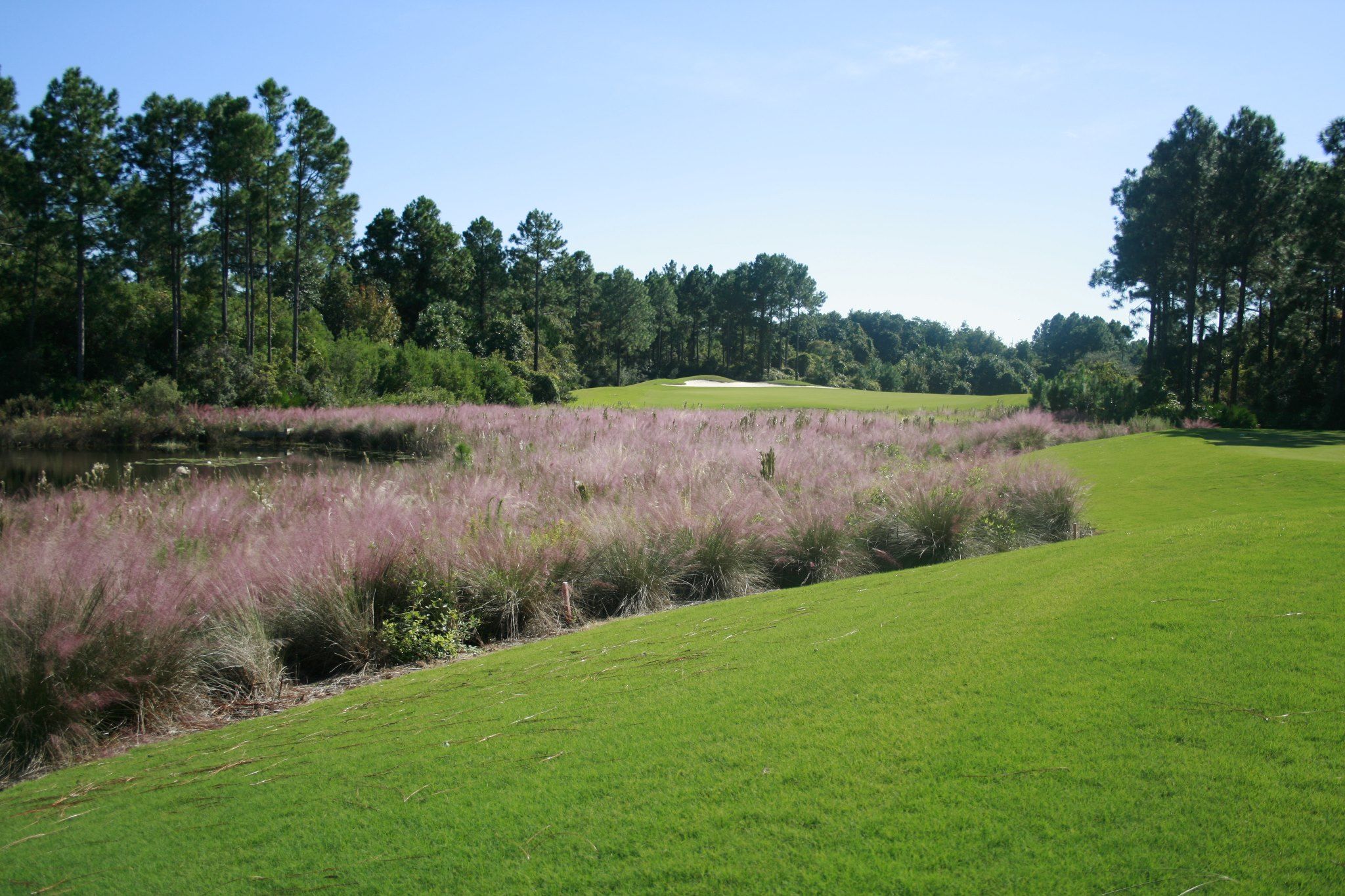Saint James Bay Golf Club cover picture