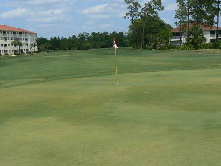 Glen Eagle Golf and Country Club All Square Golf