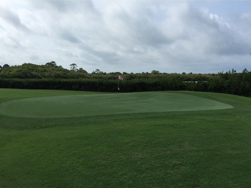 Lake Venice Golf Club cover picture