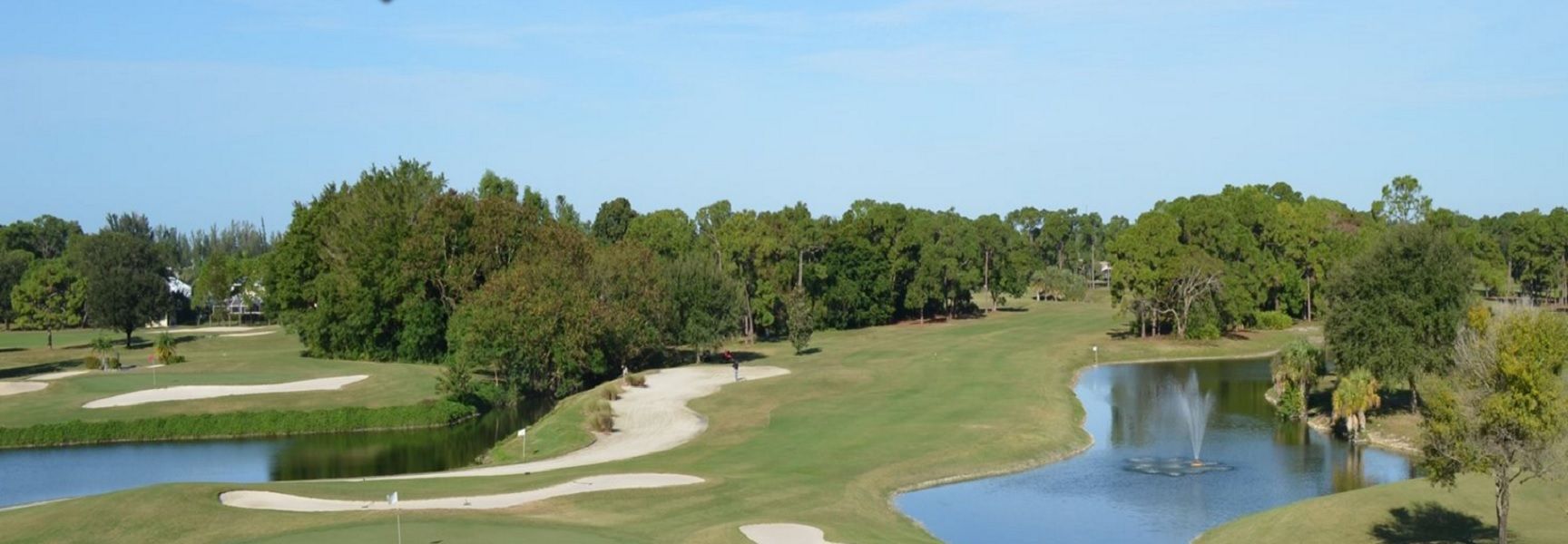 White at Palmetto Pines Golf Course cover picture