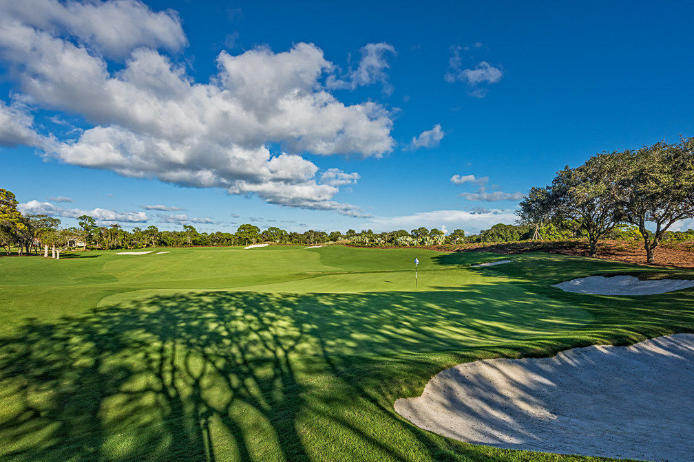 The Oaks Club cover picture