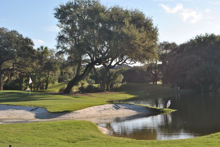 Orchid Island Golf and Beach Club All Square Golf