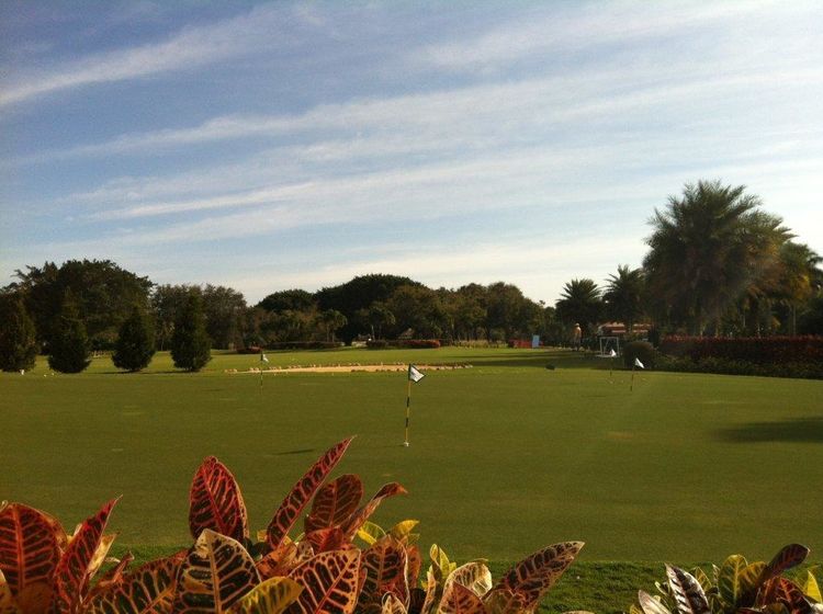 Water Oak Country Club Estates All Square Golf