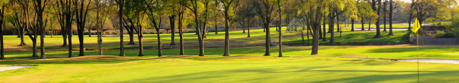 Chickasaw Country Club cover picture