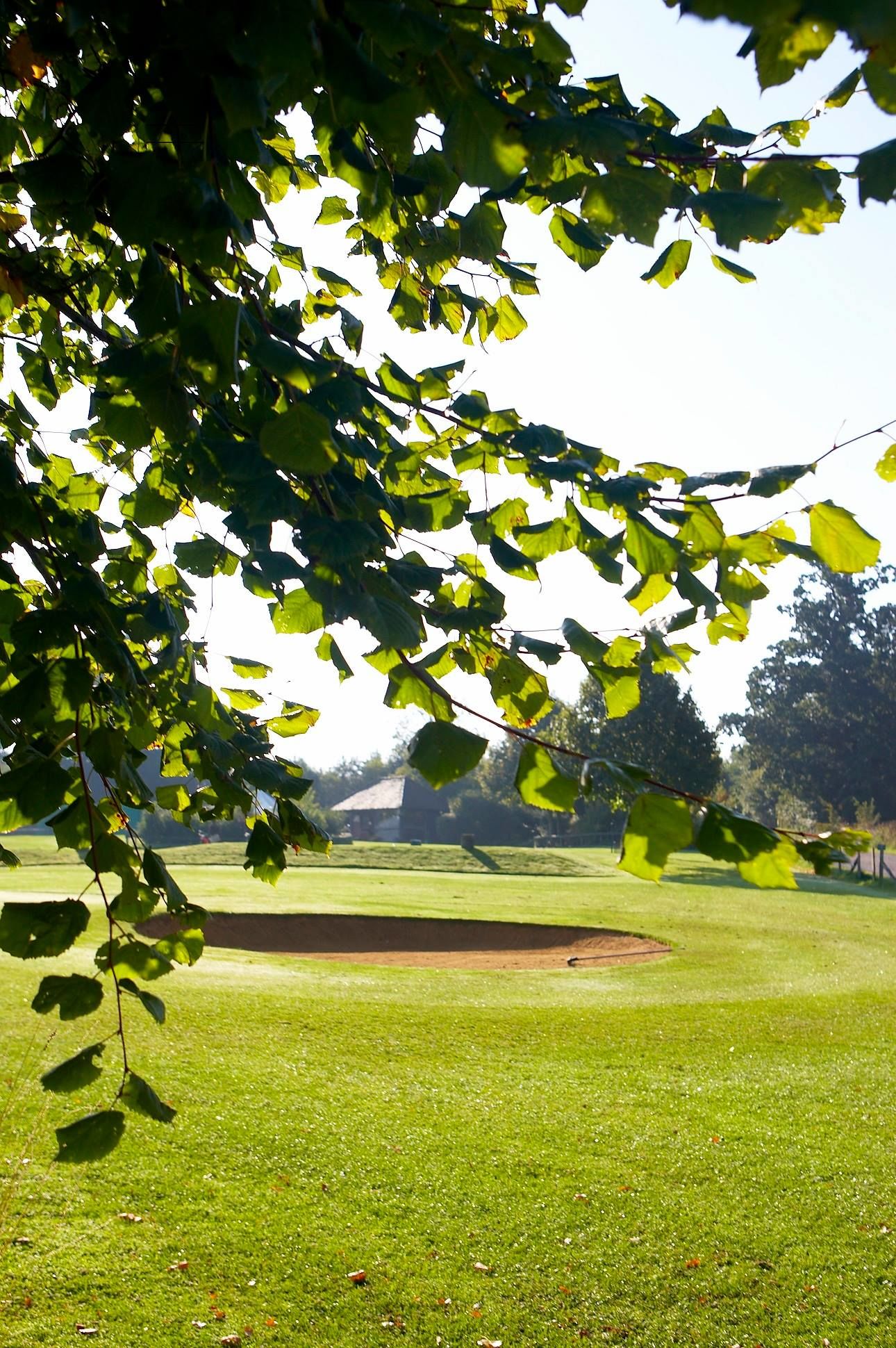 Avington Park Golf Course cover picture