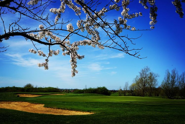 Bedford Golf Club (The) All Square Golf