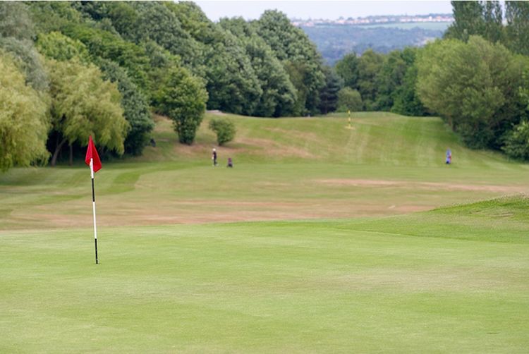 golf chipping club takeaway