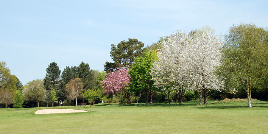 Dereham Golf Club cover picture