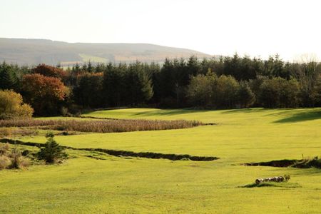 Carrigleade Golf Course cover picture