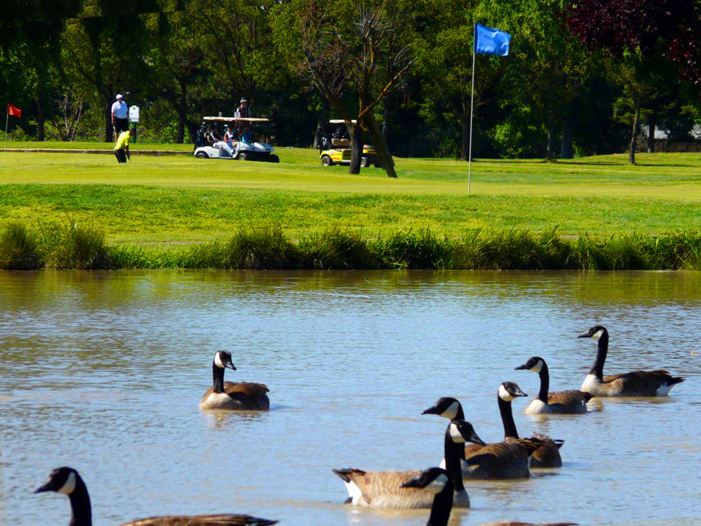 Cordova Golf Course cover picture