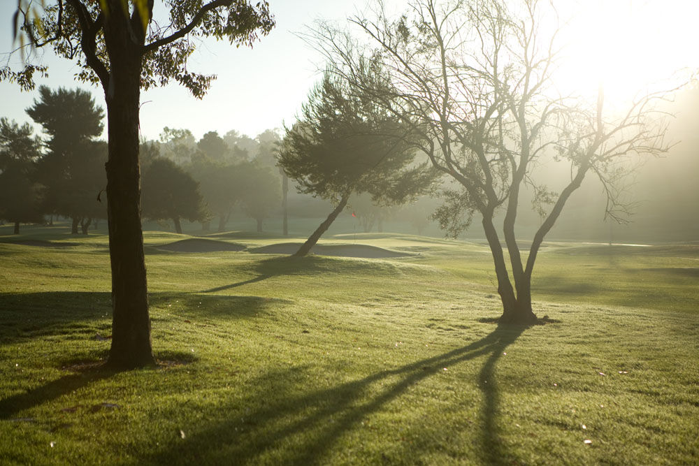 El Camino Country Club cover picture