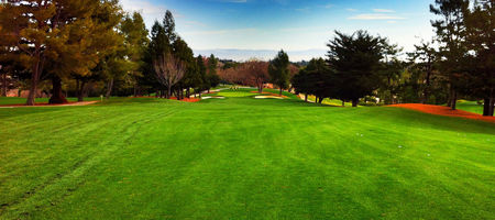 Palo Alto Hills Golf and Country Club cover picture