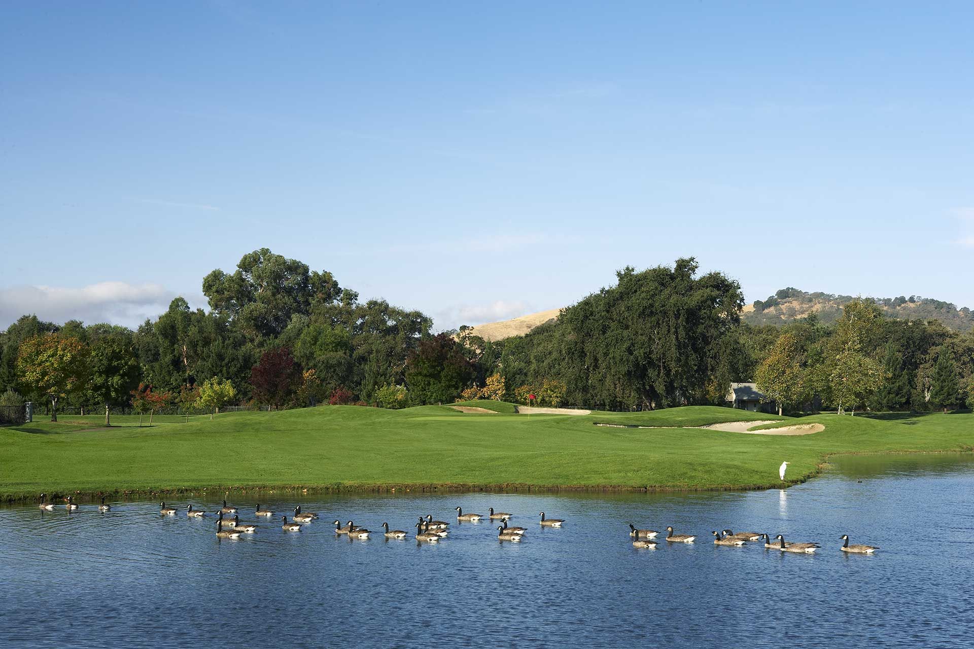 Paradise Valley Golf Course All Square Golf