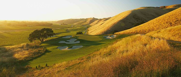 Course at Wente Vineyards The All Square Golf