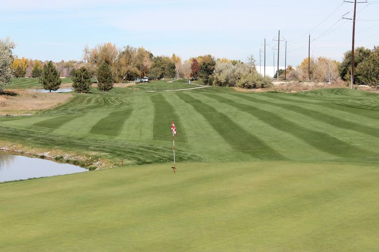 South Suburban Golf Course All Square Golf