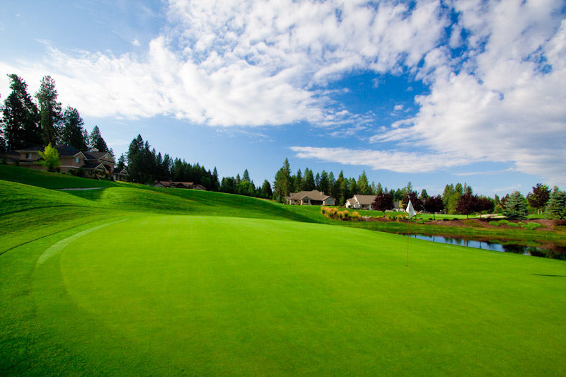 Hayden Lake Country Club, The cover picture