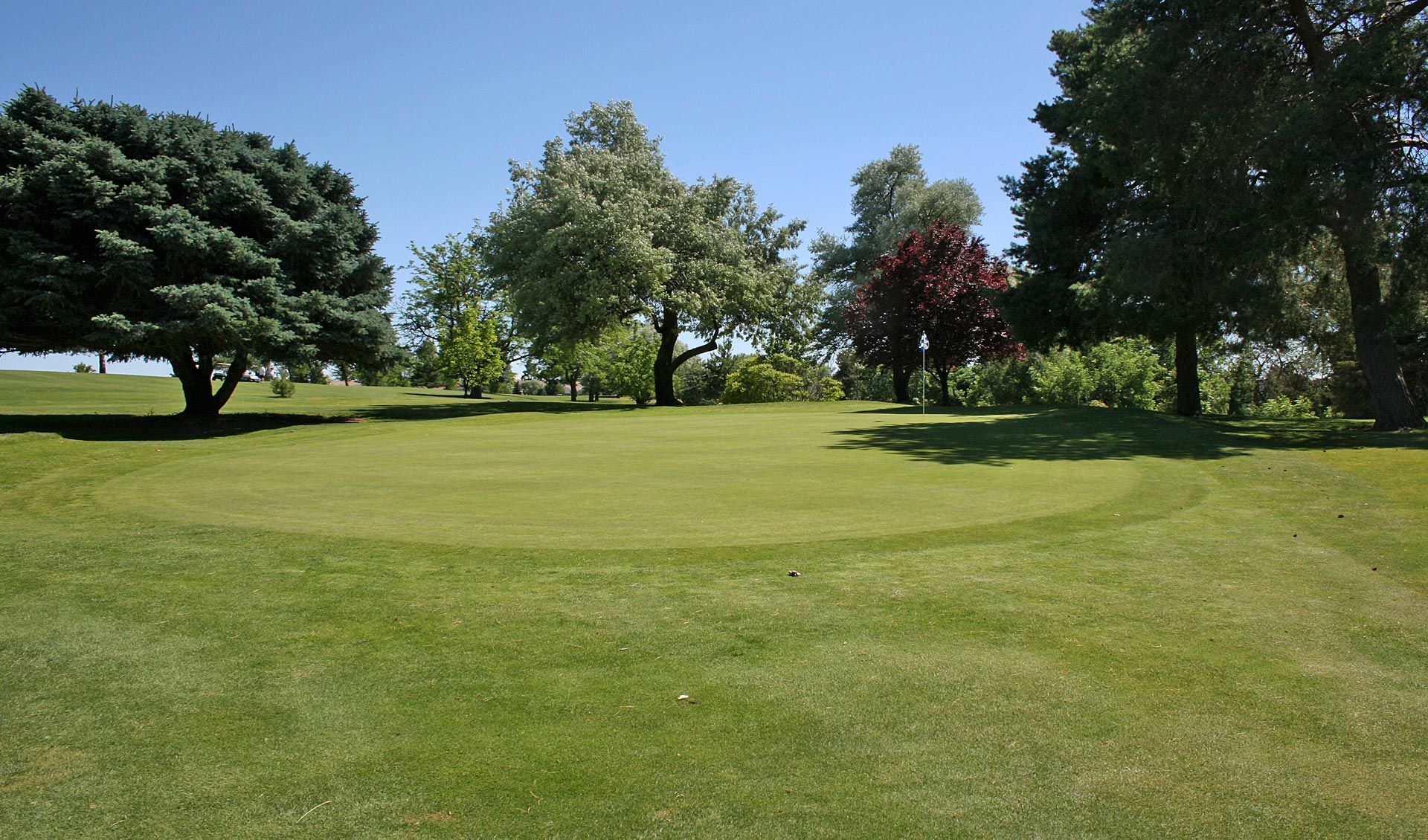 Scotch Pines Golf Course cover picture