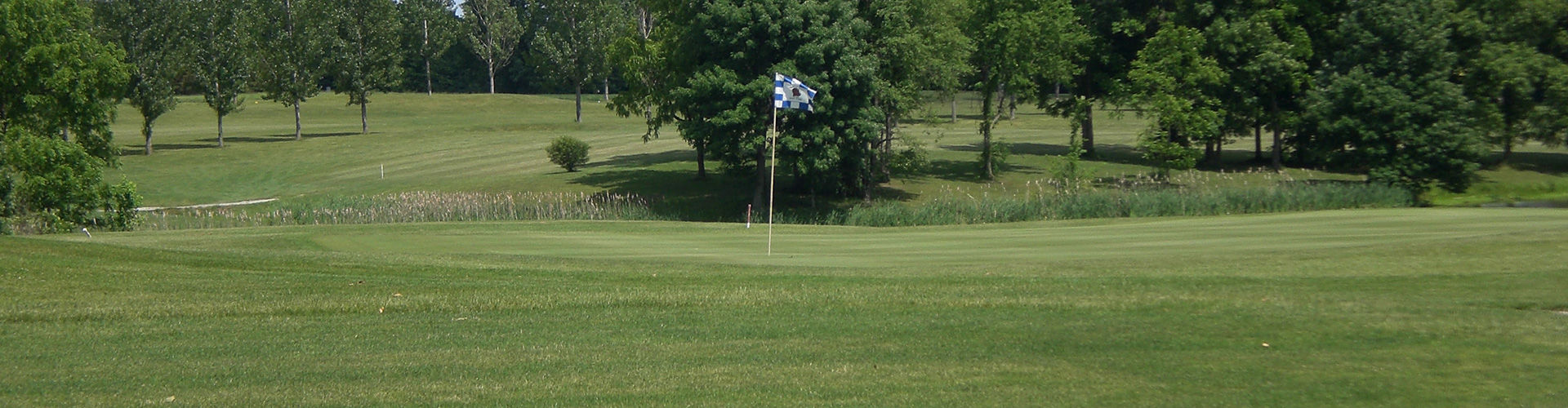 Turkey Run Golf Club cover picture
