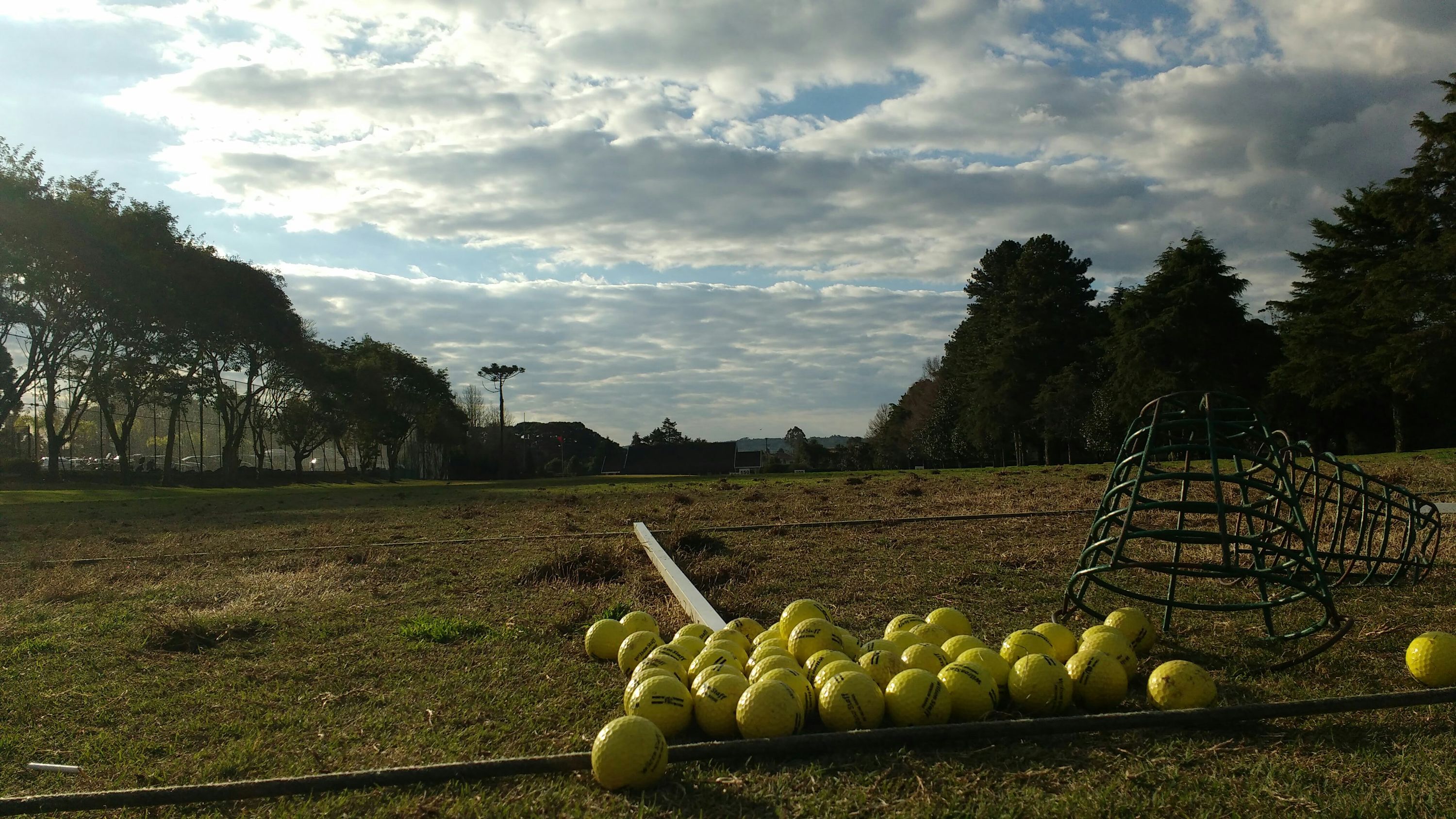 Mario Victor Ghisalberti Cover Picture