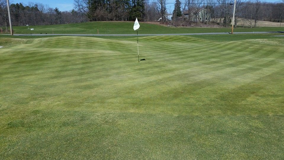 Doty's Golf Course cover picture
