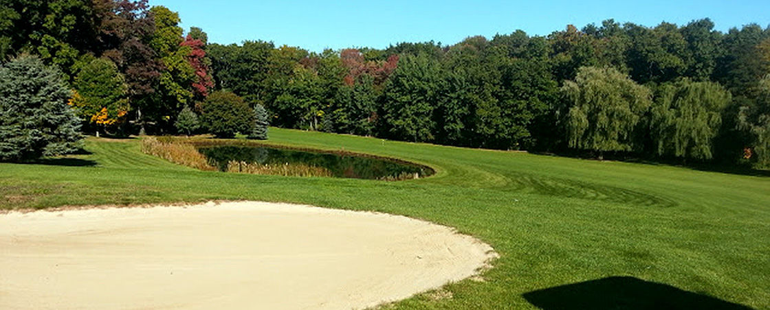 The Club at Silver Lake cover picture