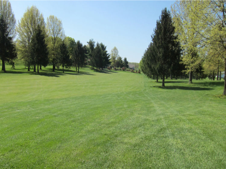 Pine Hill Golf Course All Square Golf