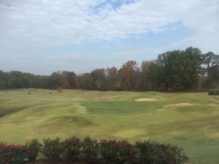 Forest Hills Golf Course All Square Golf