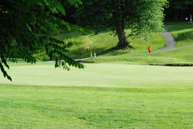 The Meadows Golf and Country Club cover picture