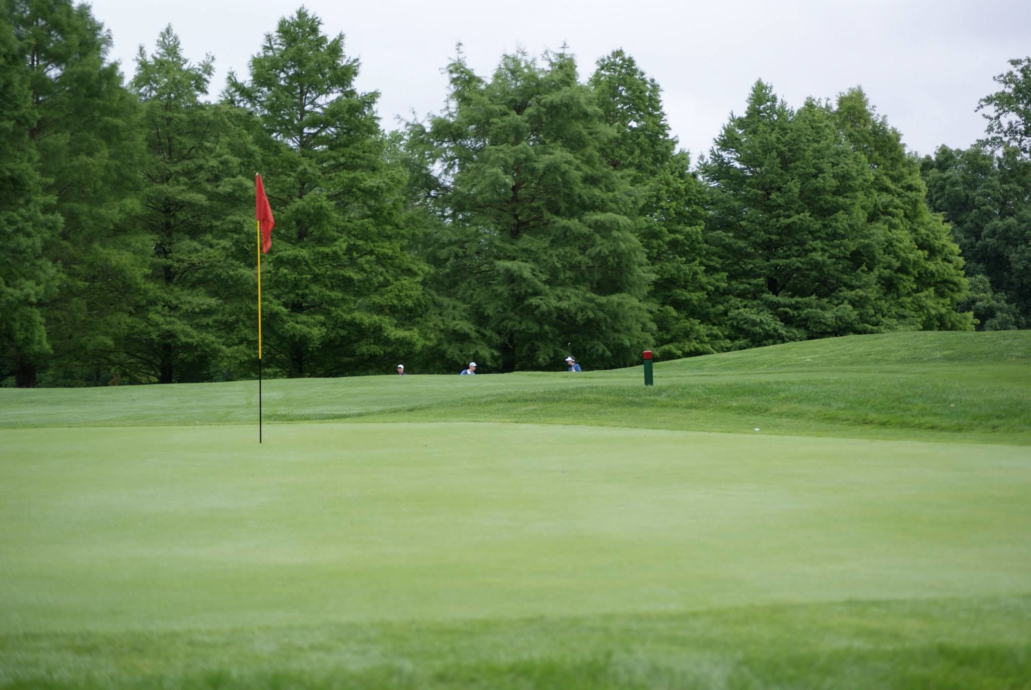 Griffith E. Harris Golf Course cover picture