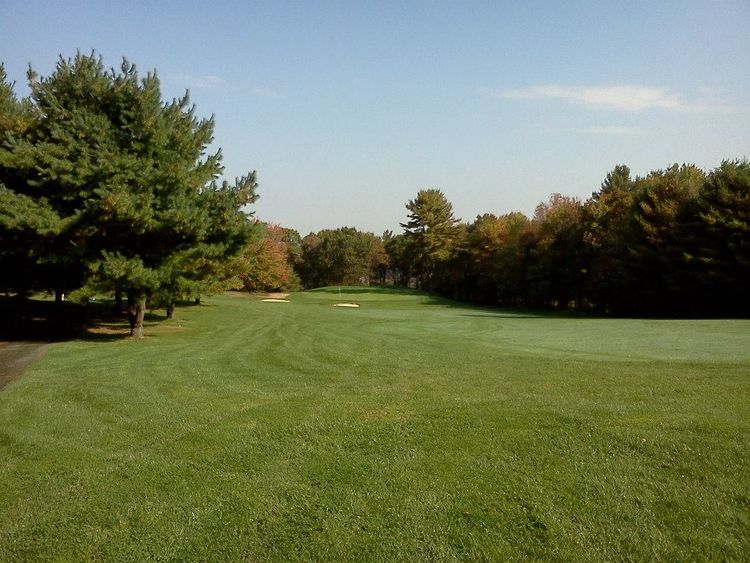 Blue Shamrock Golf Club All Square Golf