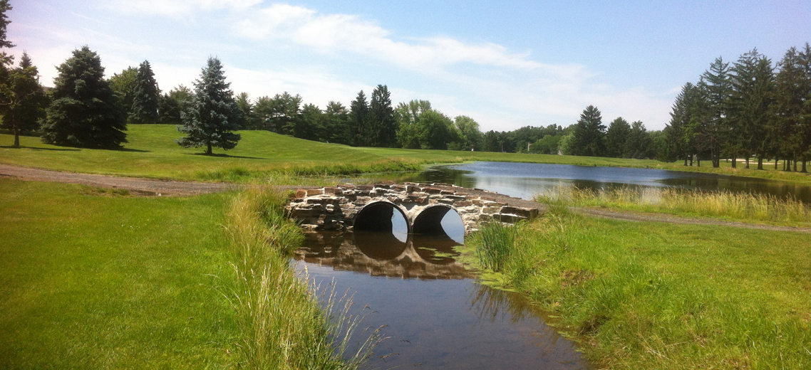 Fairways Golf and Country Club, The cover picture