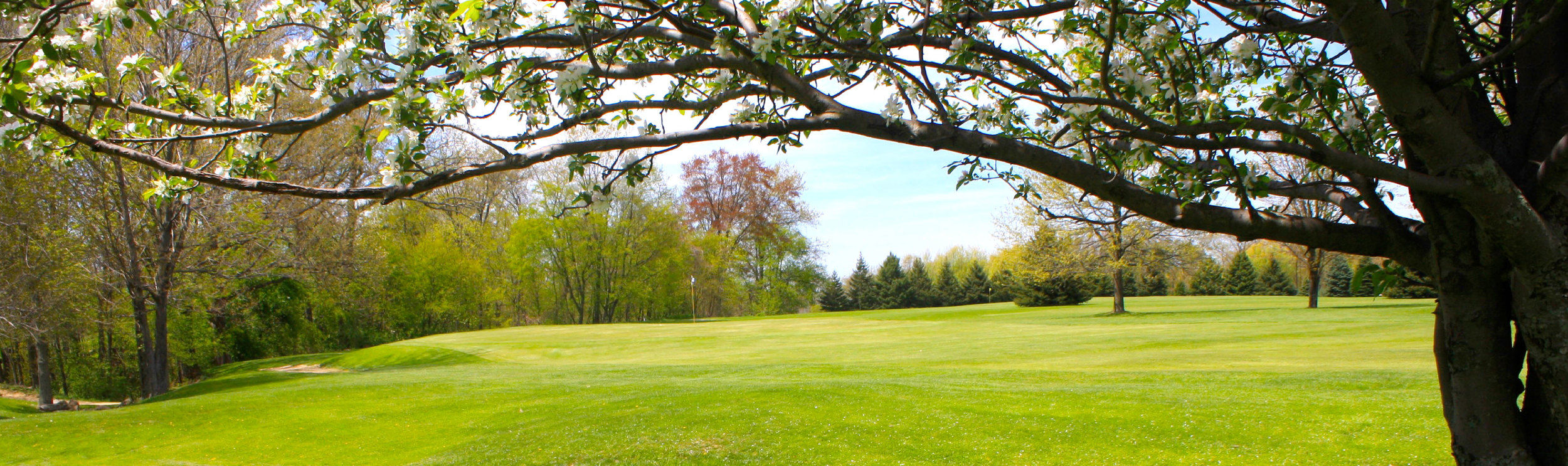 Spring Valley Golf Club cover picture