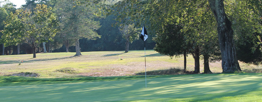 Woodland Greens Golf Club cover picture