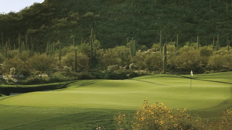 Meadow Lake Golf Club cover picture